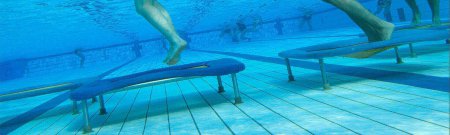 vittel|forêt|arbres