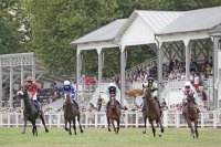  © Jean-Jacques DALIA|vittel|courses hippiques|hippodrome|PMU|cheval|équestre|cheval