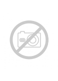 vittel|prune GRILLET LESCOFFIER|conseiller municipal jeune