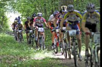 vittel|sport|vélo|vtt|cyclisme|forêt