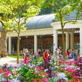 parcthermal|Vittel|étéàvittel|nouveauxcommerces