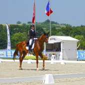 cheval|concourscomplet|équitation|cavalier|© Jean-Jacques DALIA - ville de Vittel