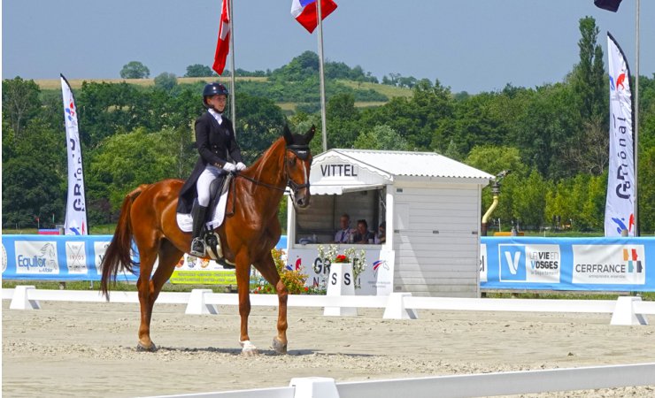 cheval|concourscomplet|équitation|cavalier|© Jean-Jacques DALIA - ville de Vittel