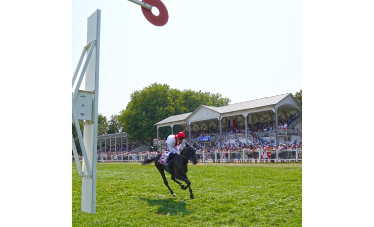 vittel|hippodrome|cheavl|courseshippiques|©Jean-Jacques DALIA - ville de Vittel