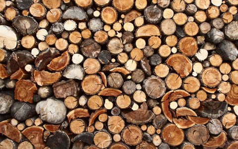 vittel|bois|affouages