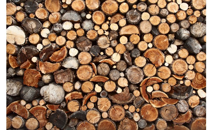 vittel|bois|affouages