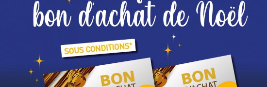 Bon d’achat de fin d’année pour les aînés Les modalités 2025