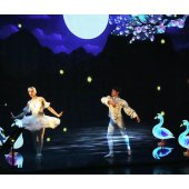 lacdescygnes|danseurs|alhambravittel|elproduction