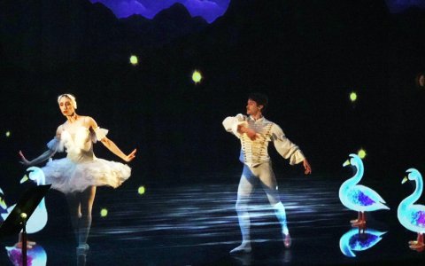 lacdescygnes|danseurs|alhambravittel|elproduction