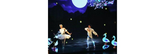 lacdescygnes|danseurs|alhambravittel|elproduction