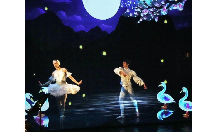 lacdescygnes|danseurs|alhambravittel|elproduction