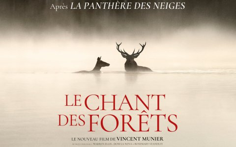 lechantdesforets|vittel|michelmunier