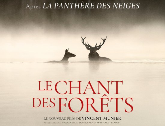 lechantdesforets|vittel|michelmunier