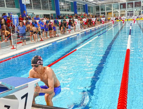 natation|piscine|cpovittel