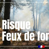 feuxdeforet|risque|vigilance|jaune|vosges