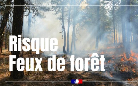 feuxdeforet|risque|vigilance|orange|vosges
