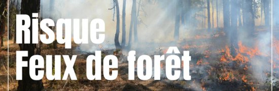 feuxdeforet|risque|vigilance|orange|vosges