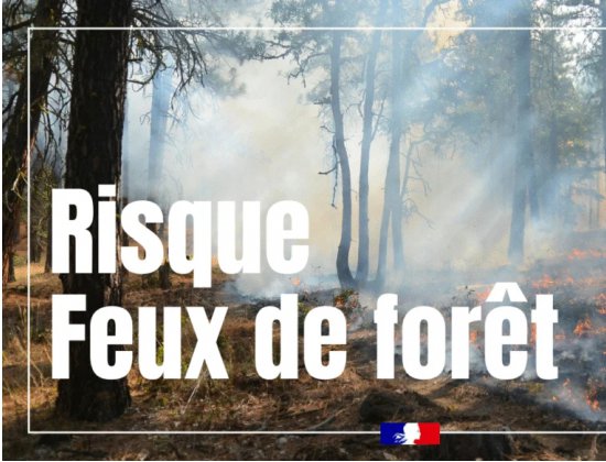feuxdeforet|risque|vigilance|jaune|vosges