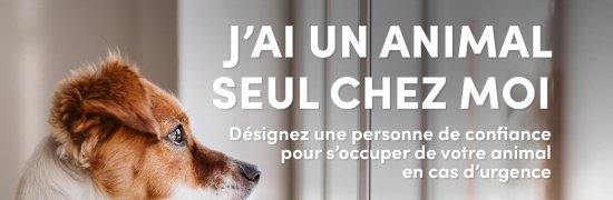 jai un animal seul chez moi|vittel|animal