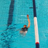 Piscine|cpo|horaires