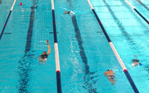 Piscine|cpo|horaires