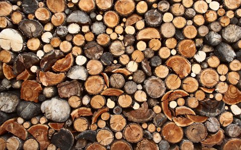 vittel|bois|affouages