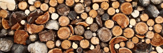 vittel|bois|affouages