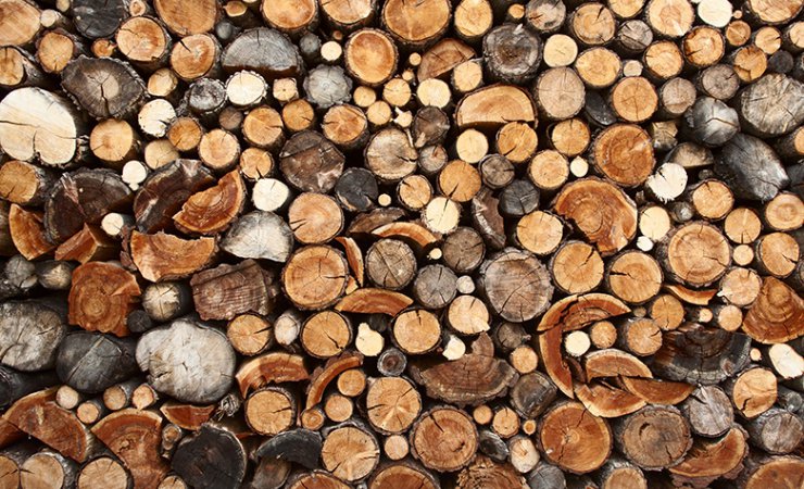 vittel|bois|affouages