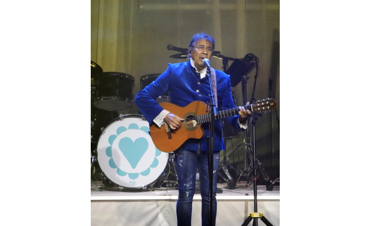 laurentvoulzychanteurguitare