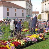 vittel|armistice|cérémonie|11novembre|fleurs|monumentauxmorts|public