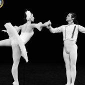 vittel|lacdescygnes|ballet