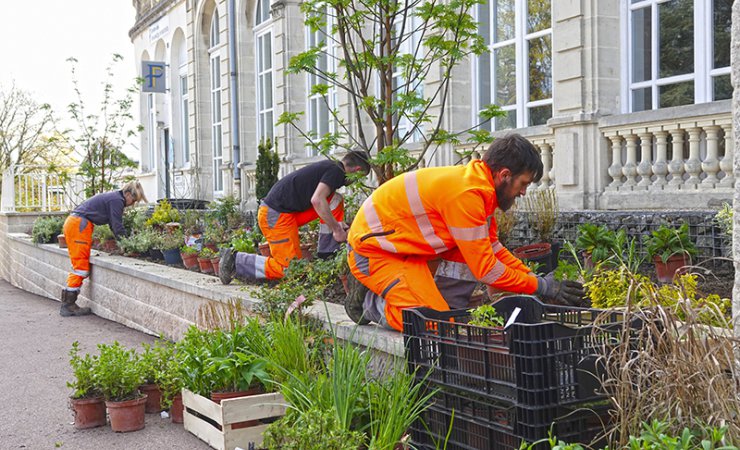 vittel|jardiniers|epi|rempotage|plantation