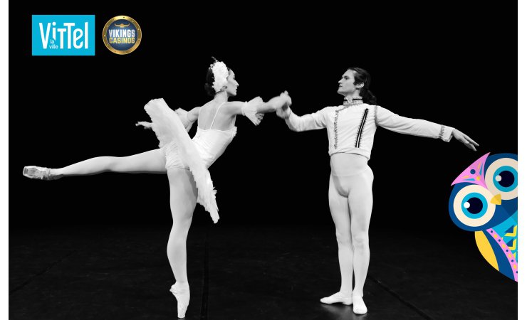 vittel|lacdescygnes|ballet