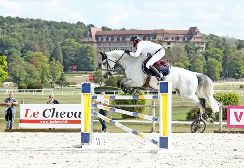 Concours saut obstacles
