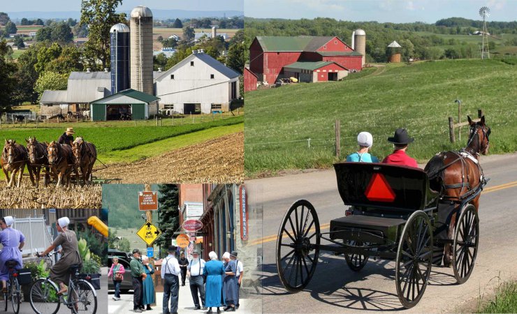 ucp|vittel|amish