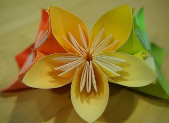 vittel||création|loisir|bricolage|fleur|origami|pliage papier|