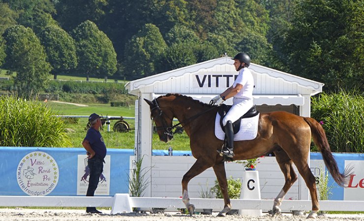 vittel|vittelrondprééquitation|cheval|cavalier
