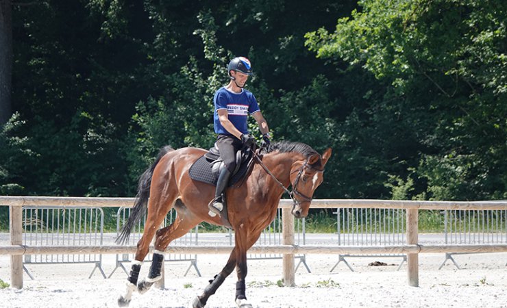 vittel|vittelrondprééquitation|cheval|cavalier
