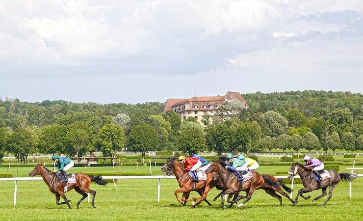 vittel|hippodrome|courseshippiques|cheval|jockey|© Jean-Jacques DALIA