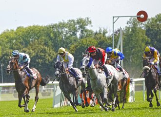 vittel|hippodrome|courseshippiques|cheval|jockey|© Jean-Jacques DALIA
