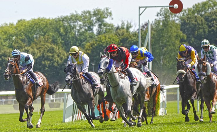 vittel|hippodrome|courseshippiques|cheval|jockey|© Jean-Jacques DALIA