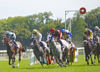 vittel|hippodrome|courseshippiques|cheval|jockey|© Jean-Jacques DALIA