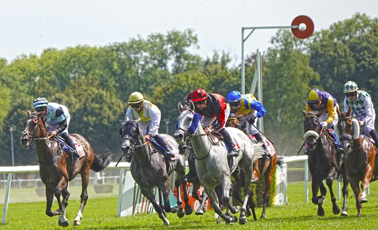 vittel|hippodrome|courseshippiques|cheval|jockey|© Jean-Jacques DALIA