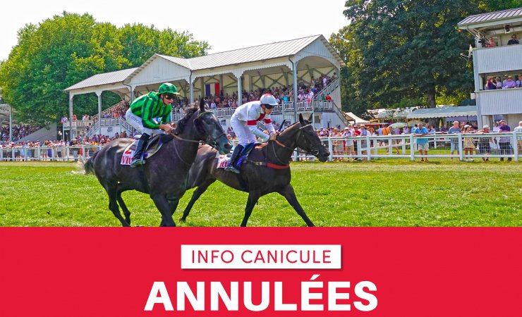 courseshippiquesvittel|© Jean-Jacques DALIA - ville de Vittel