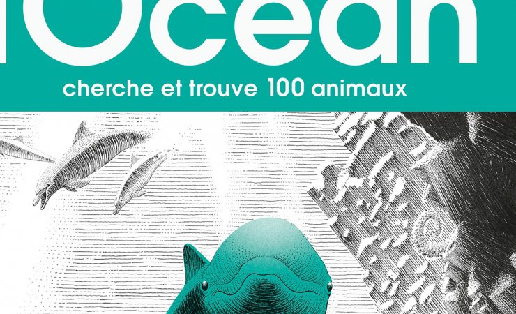 Exposition-Jeu "Dans l'océan"