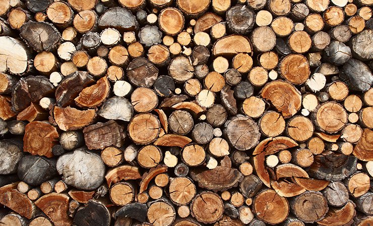 vittel|bois|affouages|