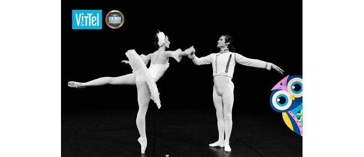 vittel|spectacle|animation