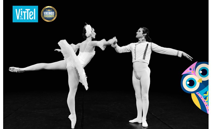 vittel|spectacle|animation