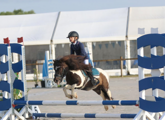 vittel|cheval|©VittelRondPréÉquitation