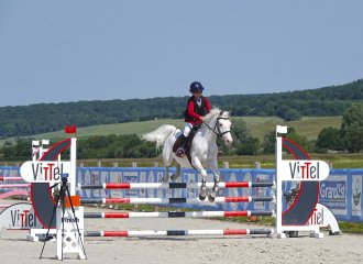 cheval|vittel
